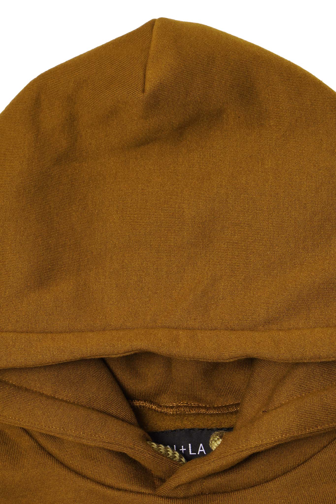 JURASSIC HOODIE IN RUST