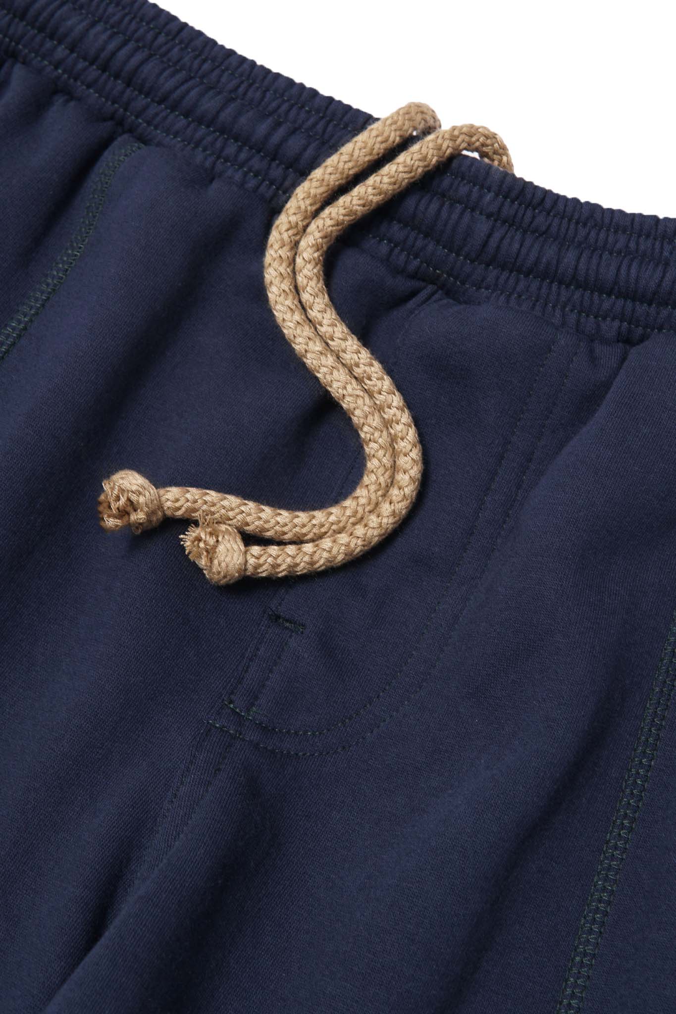 ROGUE PANTS V2 IN NAVY