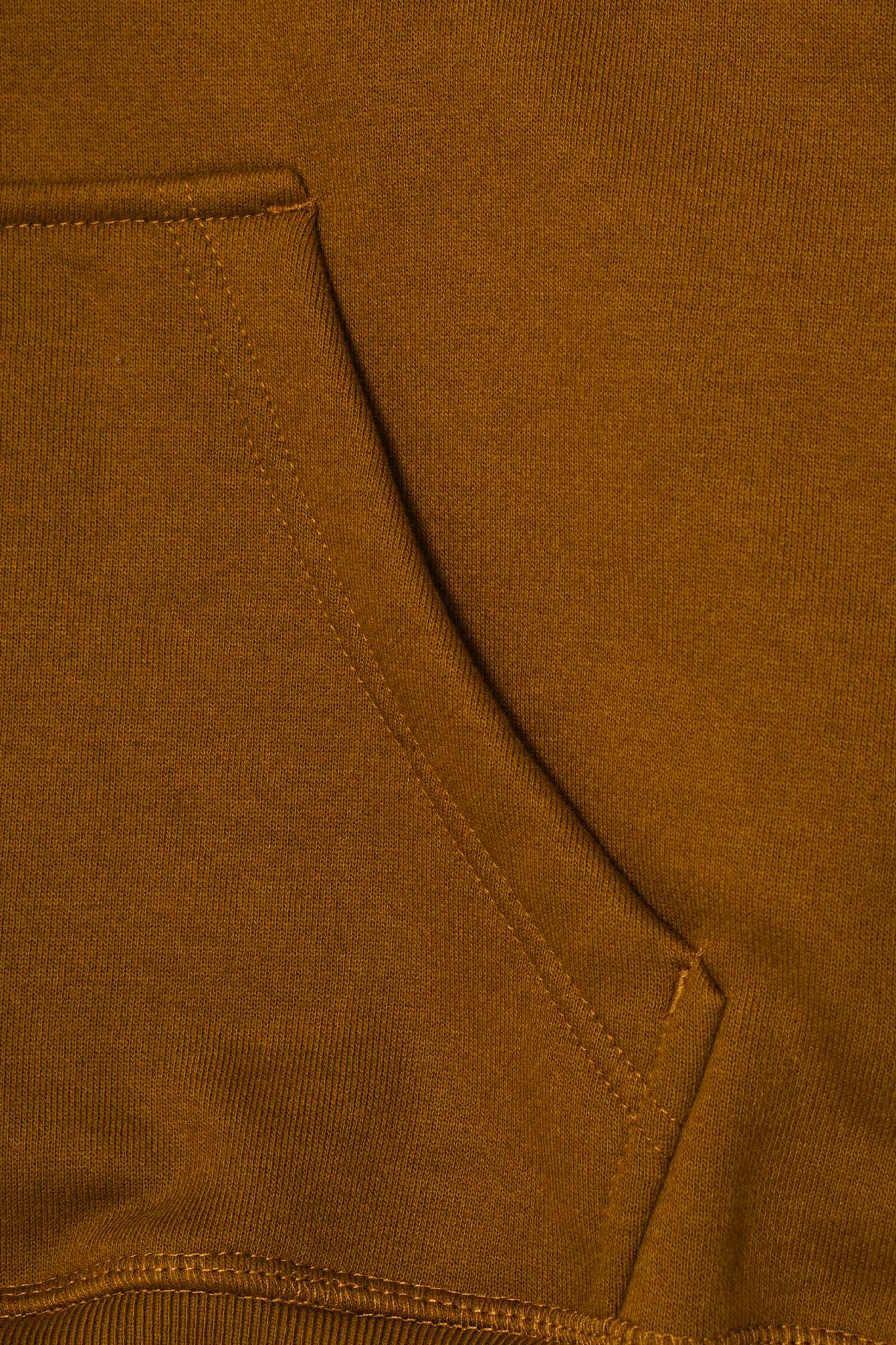 JURASSIC HOODIE IN RUST