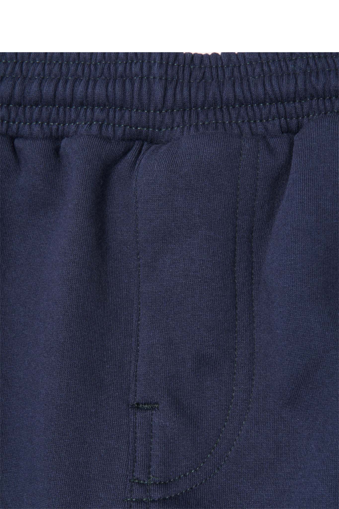 ROGUE PANTS V2 IN NAVY