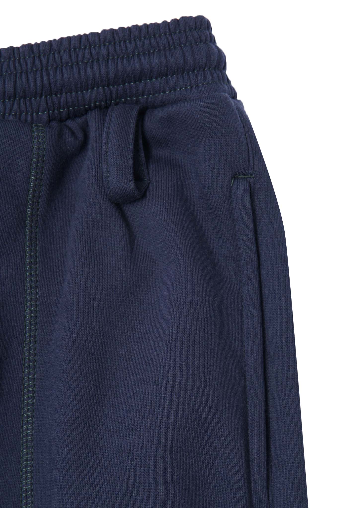 ROGUE PANTS V2 IN NAVY