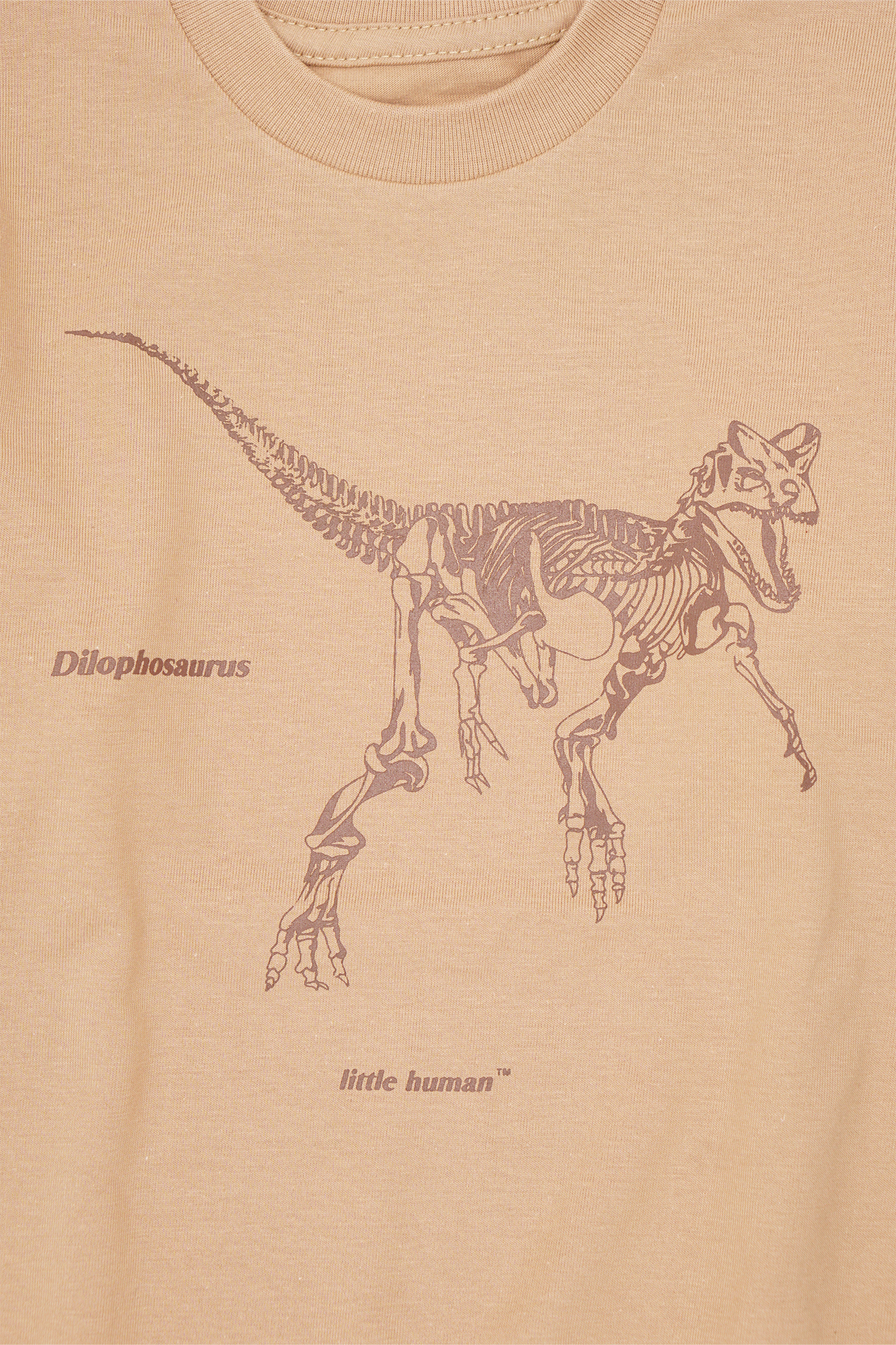 "DILOPHOSAURUS" LITTLE HUMAN™ TEE IN WHEAT