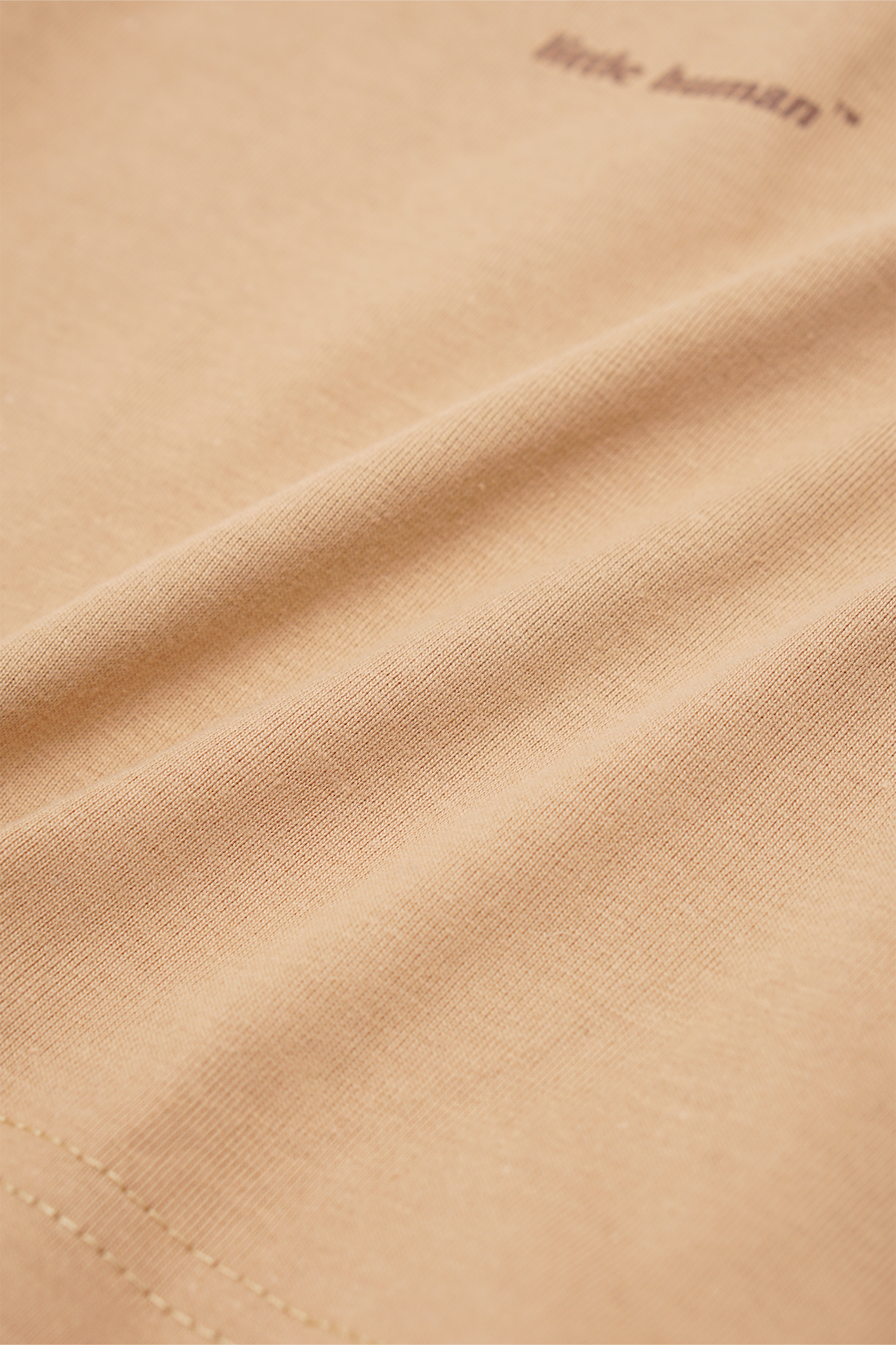 "DILOPHOSAURUS" LITTLE HUMAN™ TEE IN WHEAT