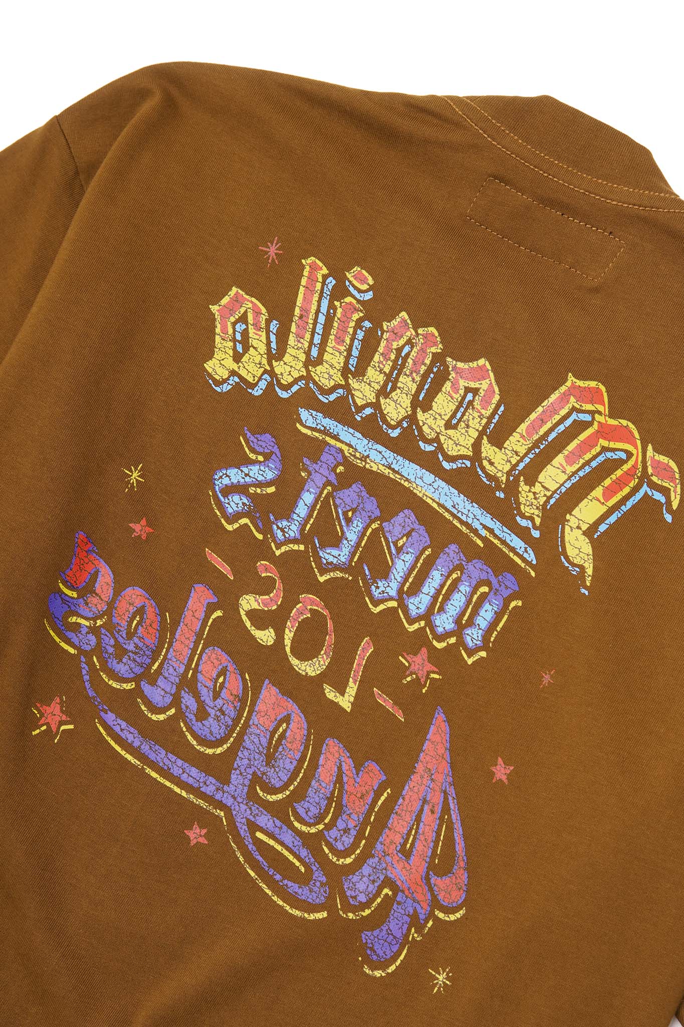 "CARNIVAL" ULTRA HEAVY TEE IN RUST