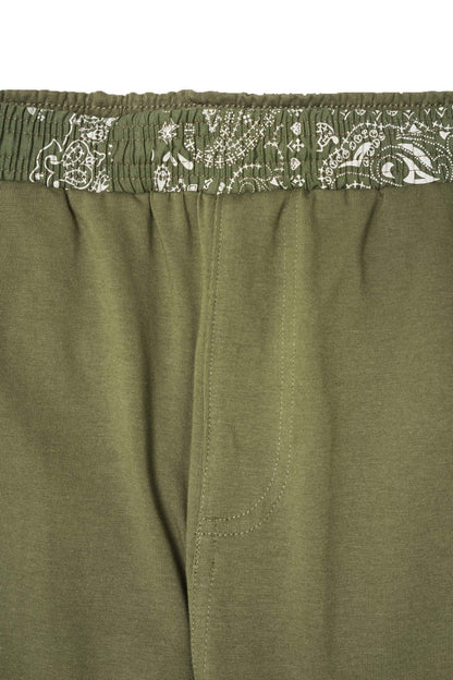NEEDLEWORK PANTS IN FERN