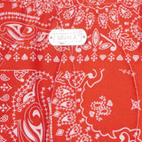 CLOUD BAG IN CHERRY