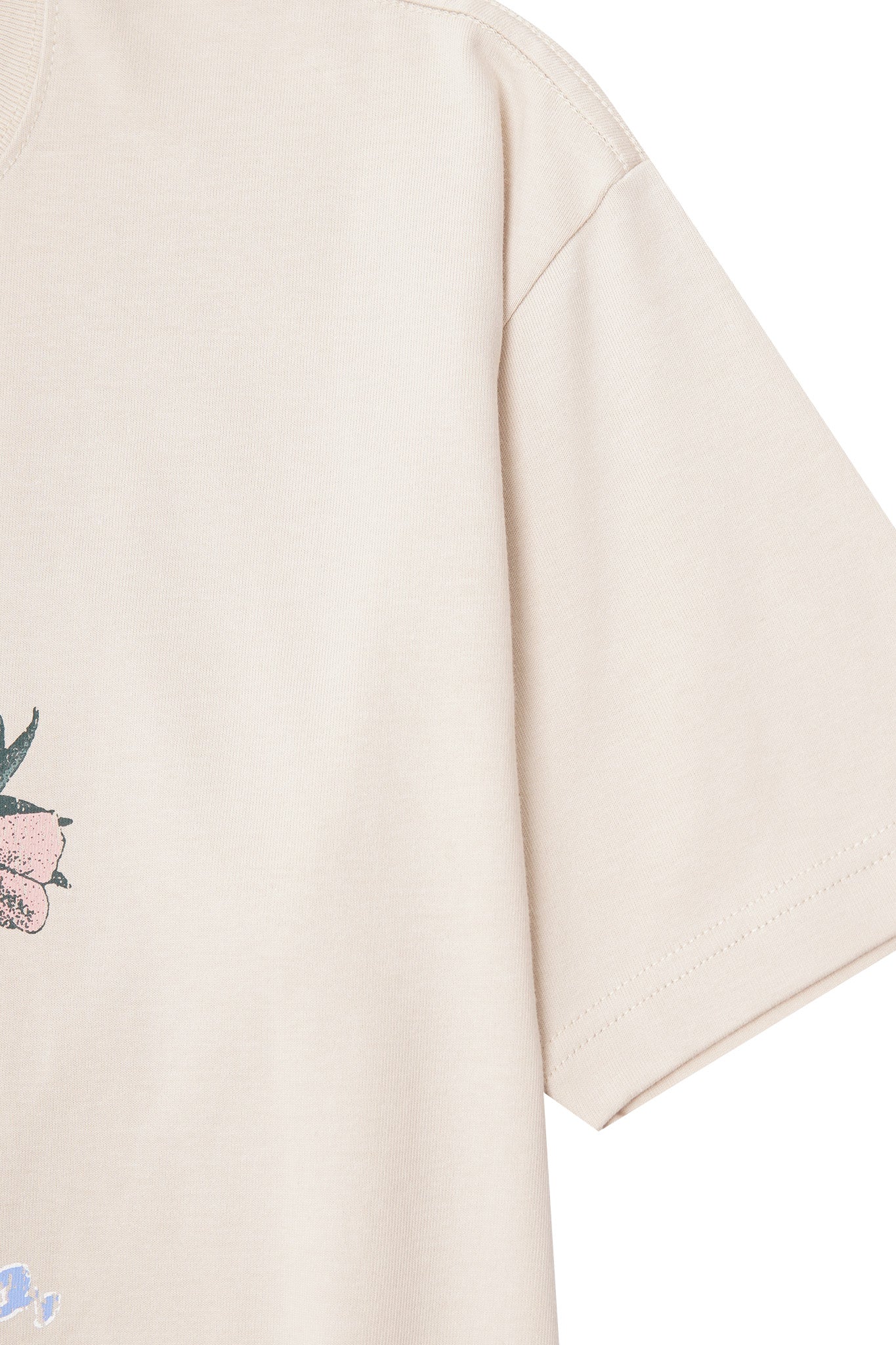 "QUOD TANGO, MUTO" ULTRA HEAVY TEE IN OAT