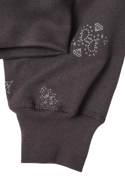 CLASSIC ZIP HOODIE IN IRON PAISLEY