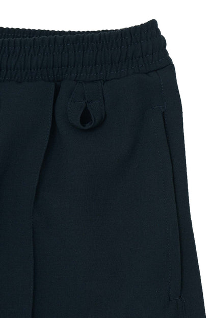 PLEATED CROPPED PANTS IN REGAL BLUE