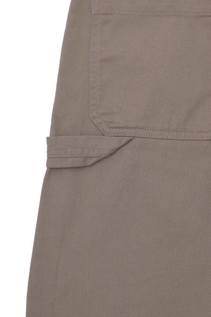 CARPENTER SHORTS IN DESERT
