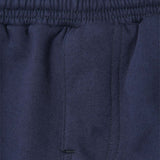 ROGUE PANTS V2 IN NAVY