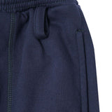 ROGUE PANTS V2 IN NAVY