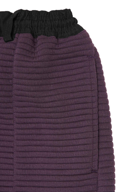 ROGUE PANTS IN MULBERRY