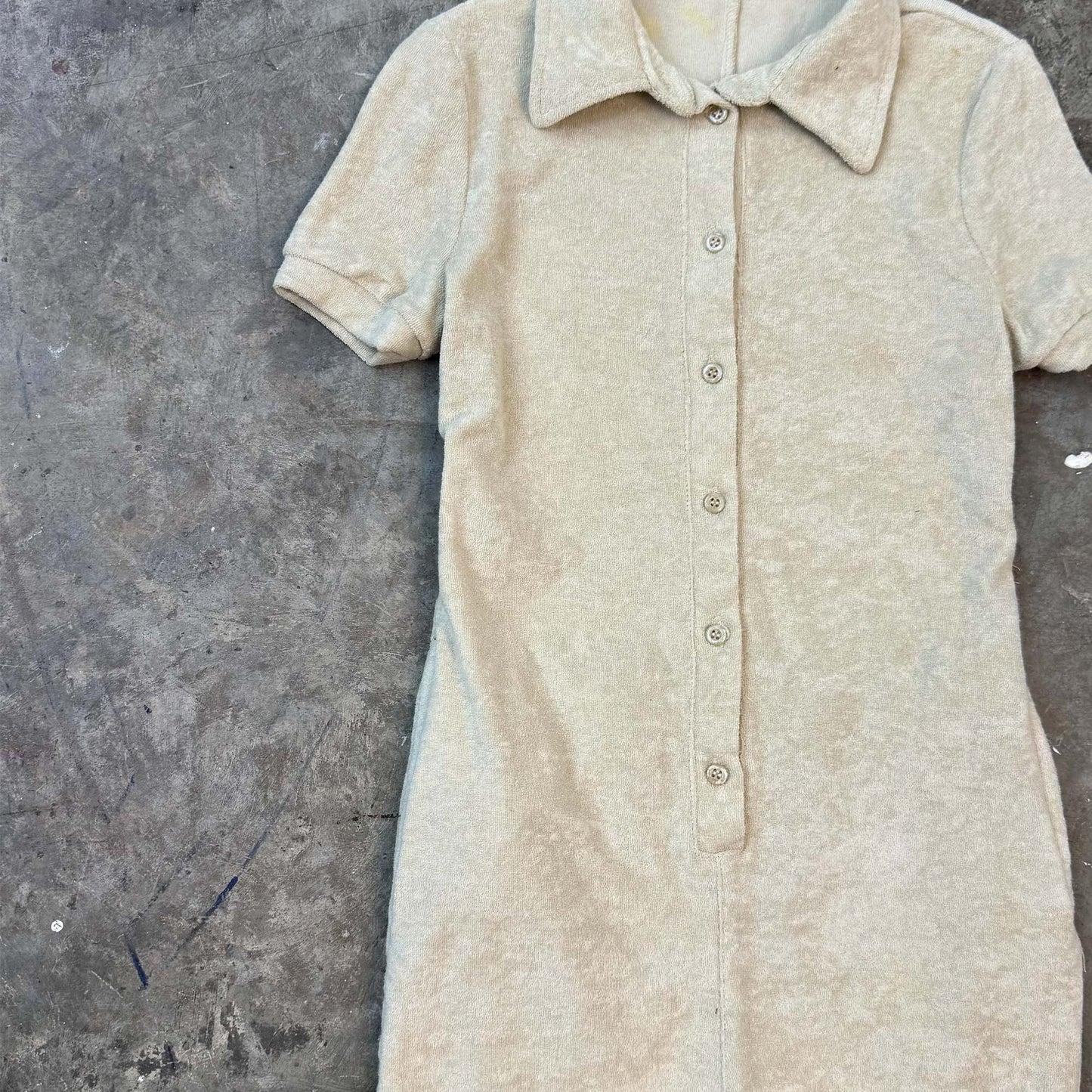 CHARLOTTE IN OAT