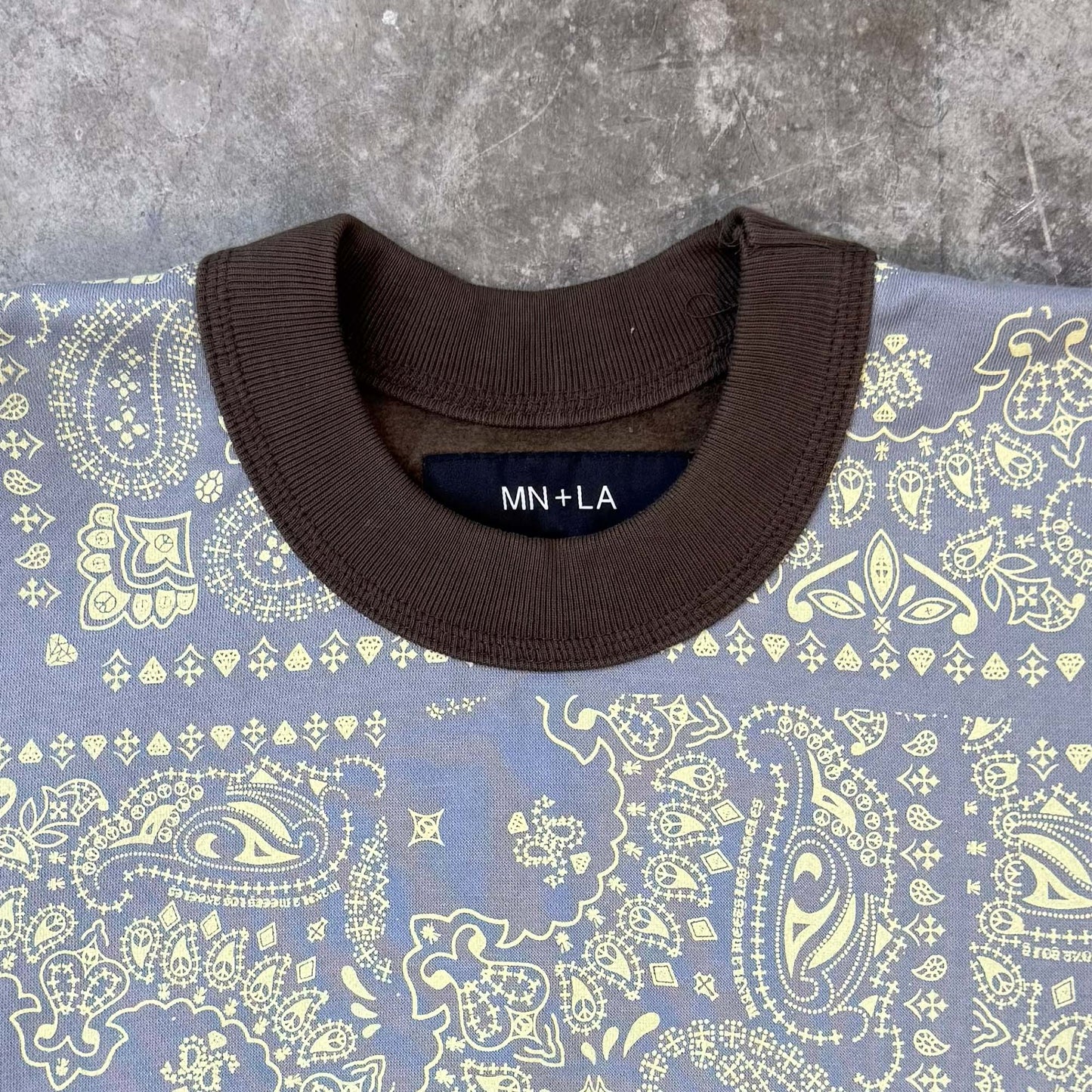 "PATCHWORK PAISLEY" VINTAGE SWEATSHIRT IN WOOD/GLACIER