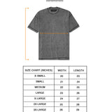 BOX TEE IN STONE PAISLEY