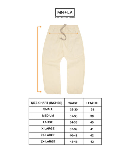 SHINOBI PLEATED ROGUE PANTS IN BONE